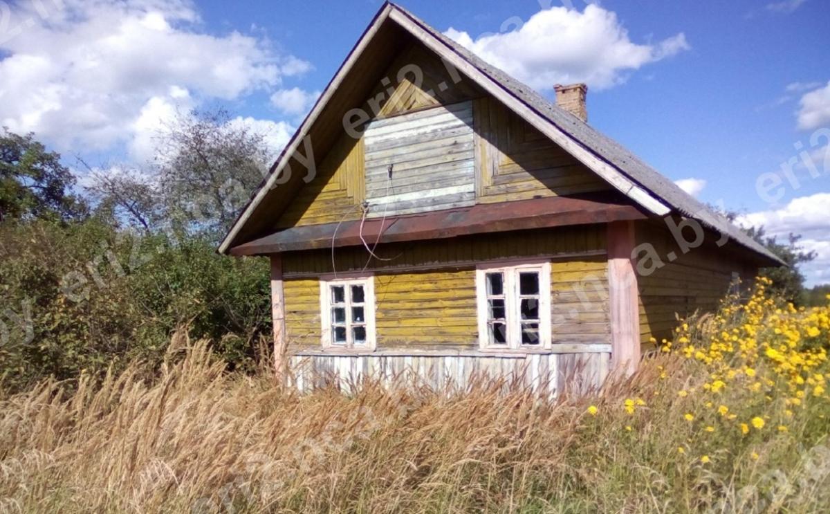 На западе Беларуси всего за $100 выставили на продажу половину улицы