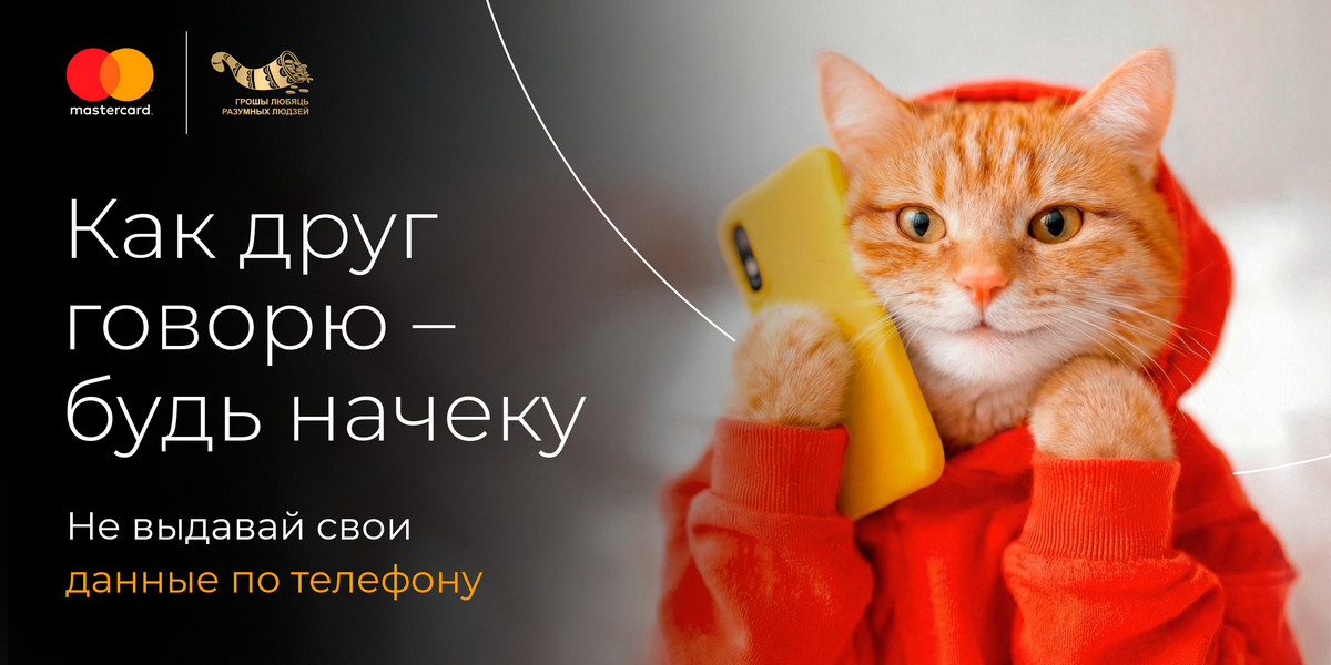 Охота на «МЫШенников»: почему новая кампания по кибербезопасности заставила заговорить домашних животных