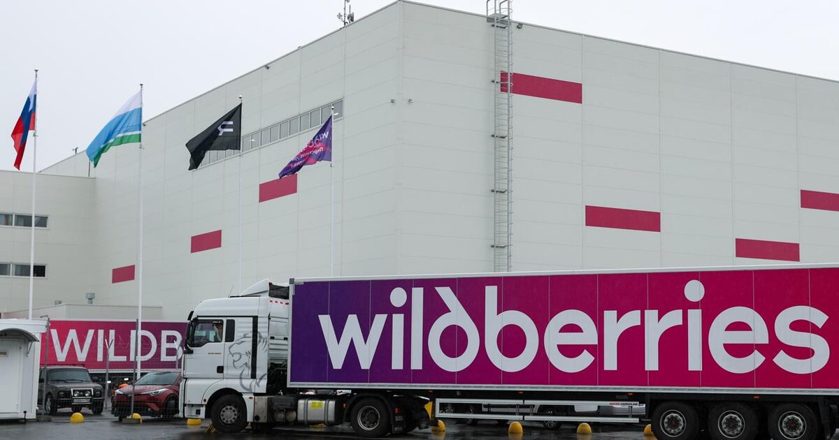 Еще два склада Wildberries в России попали под атаку беспилотников 