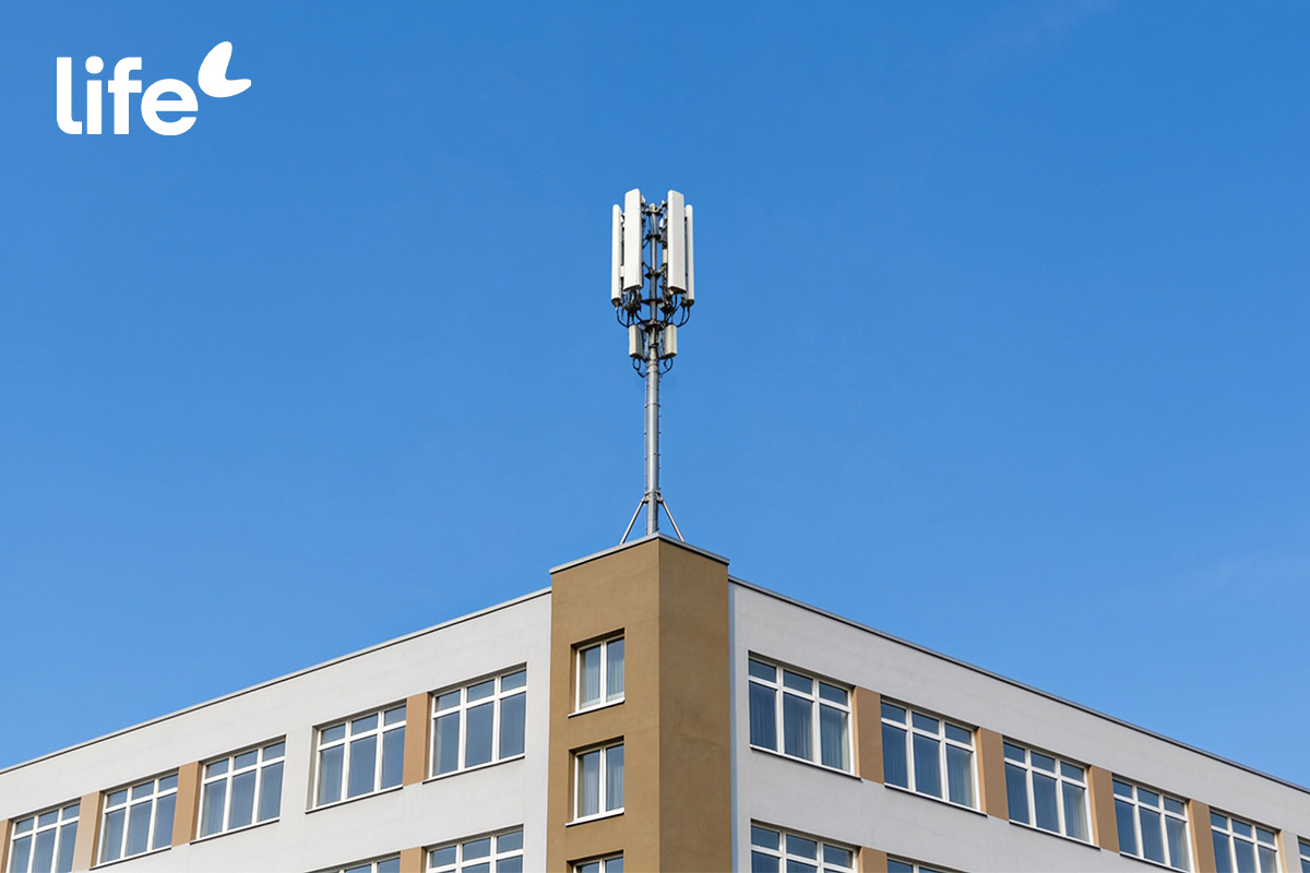Life подготовился к учебному году: 5G — рядом с вузами, школами и общежитиями