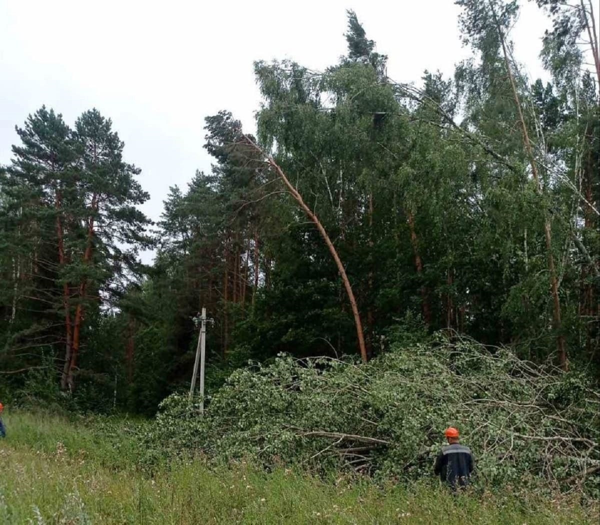 Пострадавшие дети и 659 населенных пунктов без света. Что оставил циклон PRISKA в Беларуси