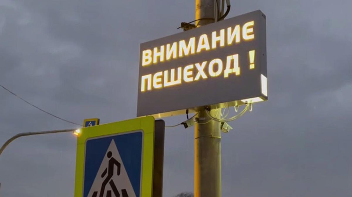 В Чаусах начали тестировать первую в стране «умную» зебру
