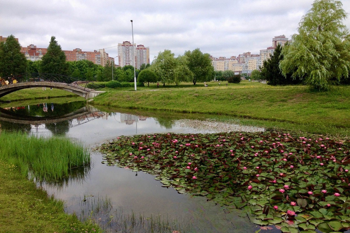 Парк Уручье ждет масштабная реконструкция. Что там изменят