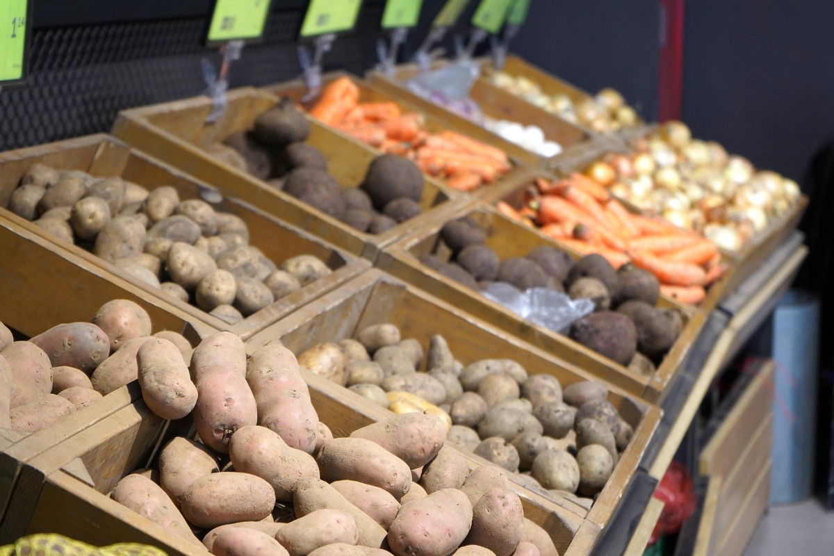 В Беларуси с начала года выросло производство сельхозпродукции