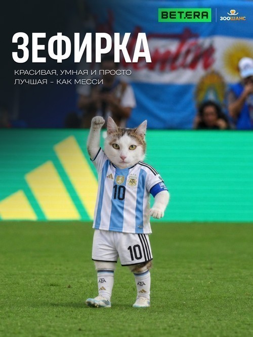 Один чемпионат мира. Одна команда. Как Betera превратила футбольный турнир в 39 дней идей, технологий и помощи