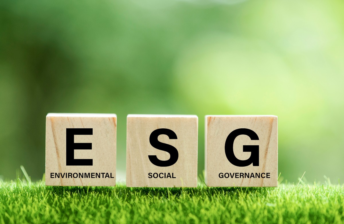 Бизнес все чаще издает ESG-отчеты. Что там интересного 
