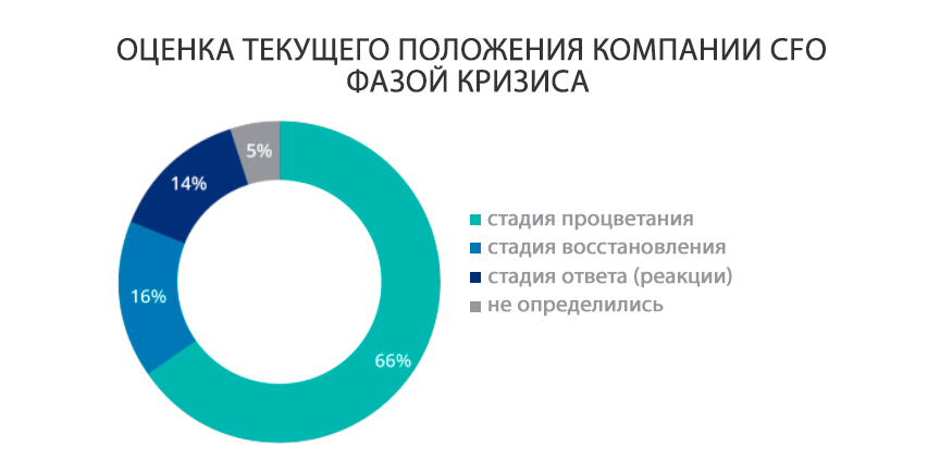 Оценка текущего положения компании CFO фазой кризиса Оценка текущего положения компании CFO фазой кризиса