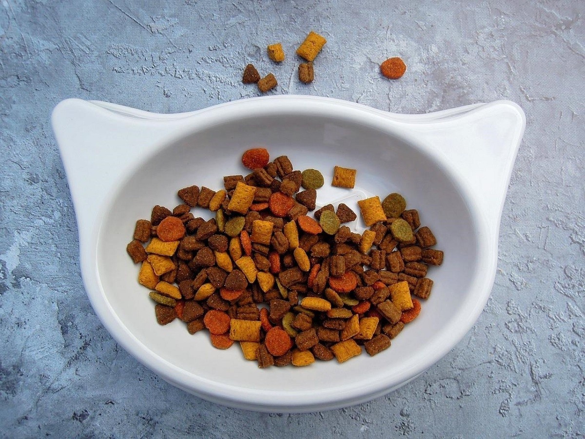 Purina свернула производство кормов для животных в&nbsp;России. Их&nbsp;продавали и&nbsp;в&nbsp;Беларуси