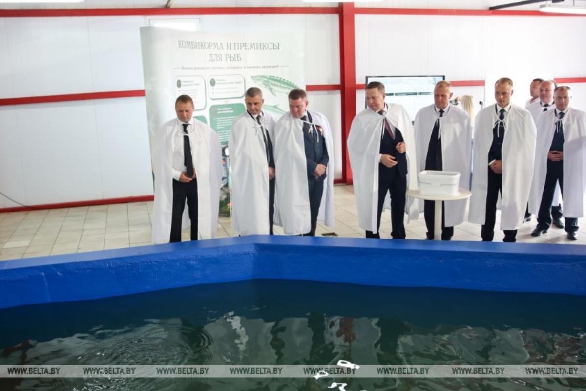 Новое предприятие по выращиванию радужной форели открыли в Беларуси