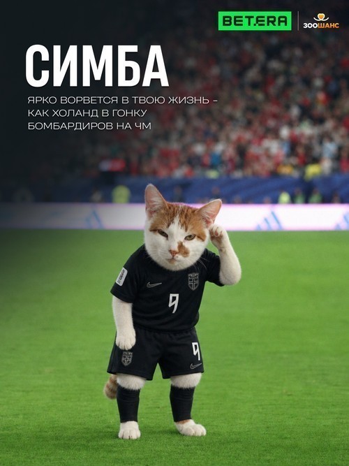 Один чемпионат мира. Одна команда. Как Betera превратила футбольный турнир в 39 дней идей, технологий и помощи