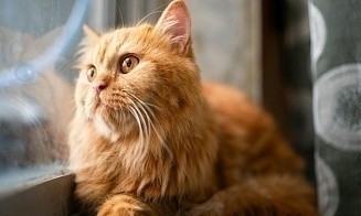 Зима заканчивается? Какой будет погода на новой рабочей неделе 