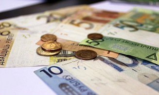В Беларуси обнаружили схему уклонения от уплаты налогов при импорте овощей из России