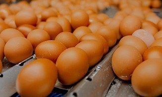 Российские власти усилили контроль за продукцией четырех белорусских компаний