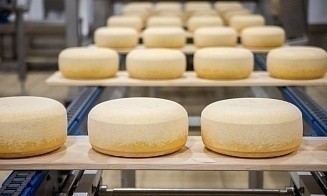 Беларусь повысила экспортные цены на «молочку» для России и Алжира