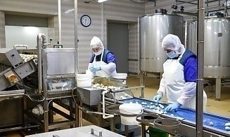 В Солигорском районе открыли перепелиную ферму