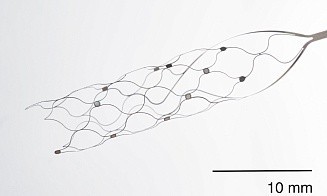 Конкурент импланта Neuralink Илона Маска начал клинические испытания