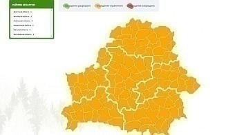 Посещение лесов ограничили по всей Беларуси