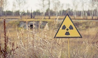 Почти 180 населенных пунктов Беларуси перестали считаться загрязненными радиацией