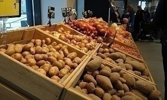 В МАРТ рассказали, хватает ли в Беларуси запасов овощей и яблок