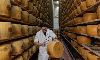 В Италии из-за жары начали таять запасы пармезана