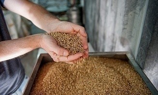 Минсельхозпрод установил фиксированные цены на закупку сельхозпродукции для госнужд