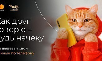 Охота на «МЫШенников»: как кампания по кибербезопасности заставила заговорить домашних животных