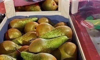 Из Беларуси в Россию не пропустили крупную партию груш