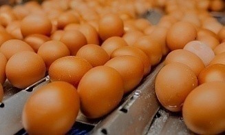 Россельхознадзор ограничил поставки продукции четырех белорусских компаний