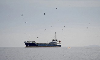 Трамп заявил, что через Ормузский пролив начали проходить первые корабли