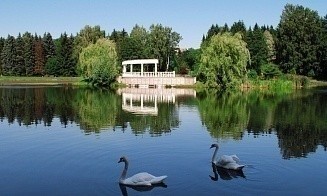 Какие города в Беларуси считаются самыми зелеными