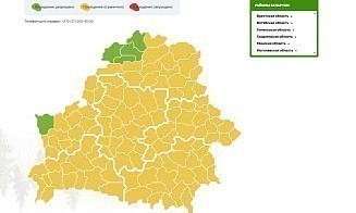 Только в пяти районах Беларуси нет ограничений на посещение лесов 