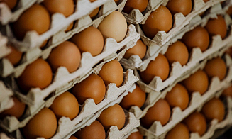 В России усилили контроль за продукцией двух белорусских птицефабрик