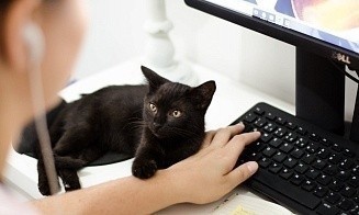 Белорусы получают майнер и троянец вместо приложений Microsoft Office