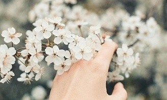 Синоптики предупредили о заморозках 9 мая