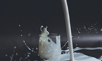 Россельхознадзор смягчил запрет для продукции «Молочного гостинца»