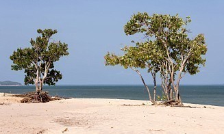 Жара до +38°C и резкое похолодание с грозами. Прогноз погоды на новую рабочую неделю