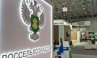 Россельхознадзор анонсировал переговоры с Беларусью по поставкам птицы
