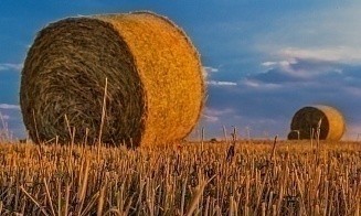 В Минсельхозпроде рассказали о планах на урожай в 2024 году