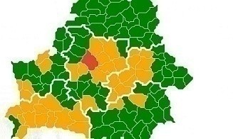 Только в одной области Беларуси нет ограничений на посещение лесов