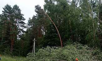 Пострадавшие дети и 659 населенных пунктов без света. Что оставил циклон PRISKA в Беларуси