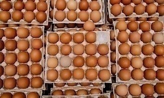 В ноябре производство молока, яиц и мяса замедлилось