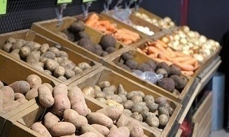 В Беларуси с начала года выросло производство сельхозпродукции
