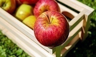Фермеры увеличили производство сельхозпродукции на четверть за 4 года 