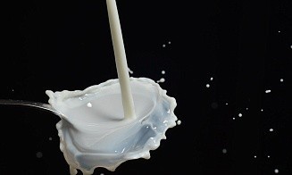 Россельхознадзор нашел кишечную палочку в продукции трех белорусских компаний