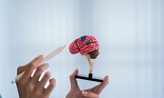 Что происходит с мозгом, если курить каждый день: ученые рассказали о рисках 