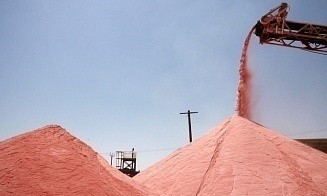 Сколько Беларусь заработала на поставках калийных удобрений в Китай за январь — июнь