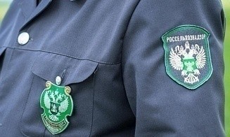 Поставки продукции двух белорусских предприятий на российский рынок ограничили