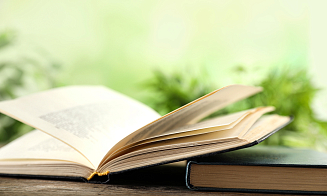 Наедине с природой: пять книг, которые помогут пережить не самые лучшие времена