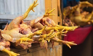 Беларусь начала продавать куриные лапки в Китай через биржу