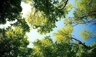 В Минске придумали официальное название для сквера на улице Калиновского
